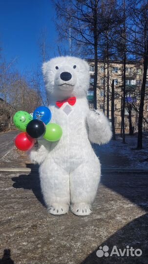 Белый Медведь Панорамыч