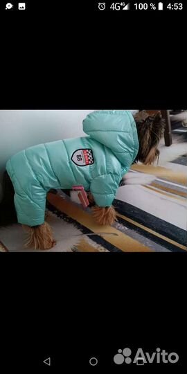 Лежанка,комбинезоны,сапожки,домик,носочки