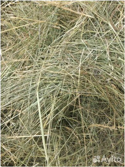 Сено в мешках