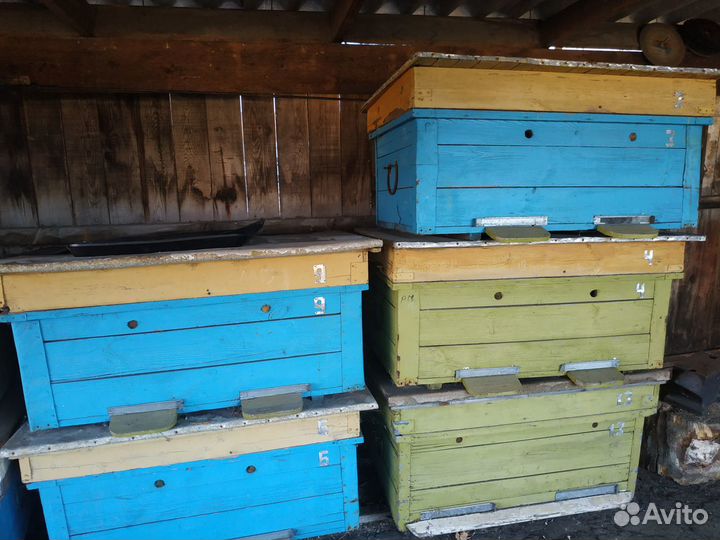 Ульи для пчел в количестве 13 шт