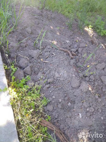 Навоз Чернозем Почвогрунт Перегной сыпучий Плодоро