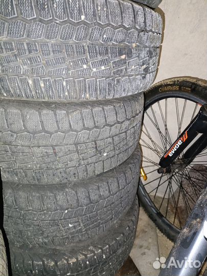 Tigar Winter 1 215/55 R16