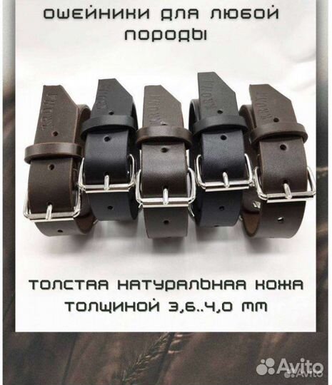 Кожаный ошейник для собак