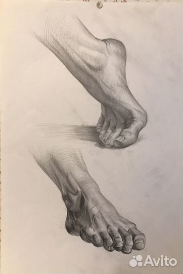 Репетитор по рисованию, подготовка к экзаменам