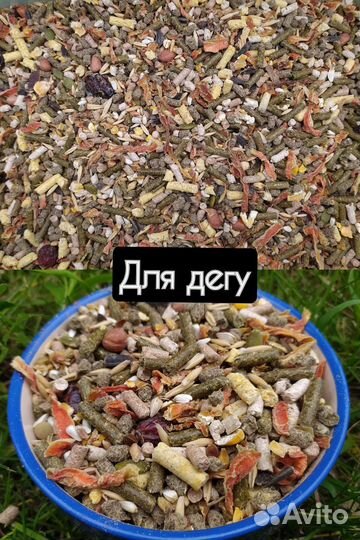 Корм для каждого вида грызуна