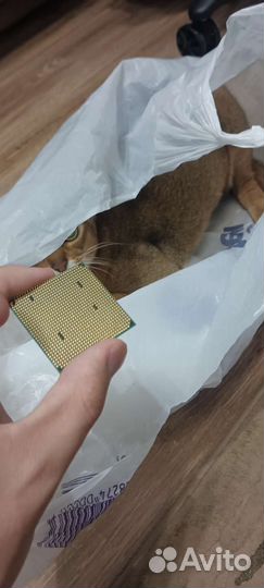 Процессор amd phenom ii
