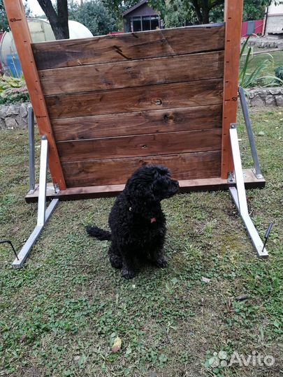 Глухой Барьер для тренировки собак