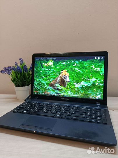 Мощный ноутбук Samsung I5/SSD/8GB