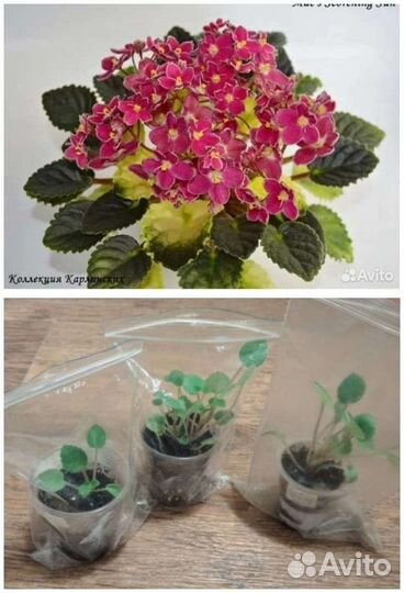 Горшки для цветов 11см, для фитильного полива