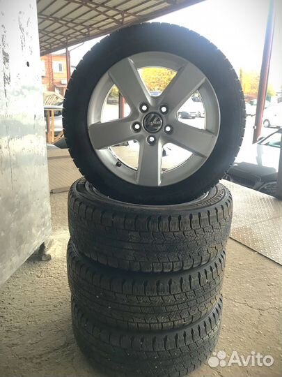 Nexen Winguard Ice 205/55 R16