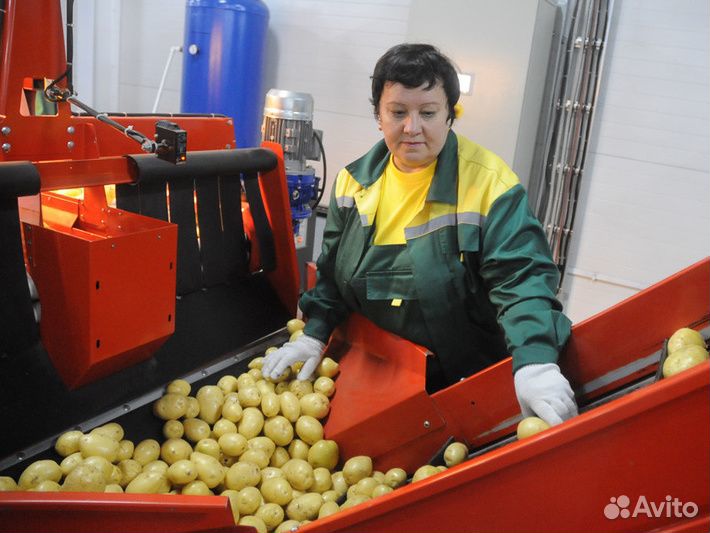Фасовщица овощей с питанием и проживанием