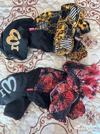 Продам одежду для собак