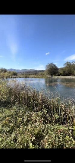 Участок 37 сот. (ИЖС)