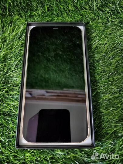 iPhone 12 Pro Max, 256 ГБ