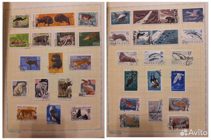 Марки СССР: флора фауна альбом союзпечать