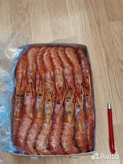 Лангустины / морепродукты