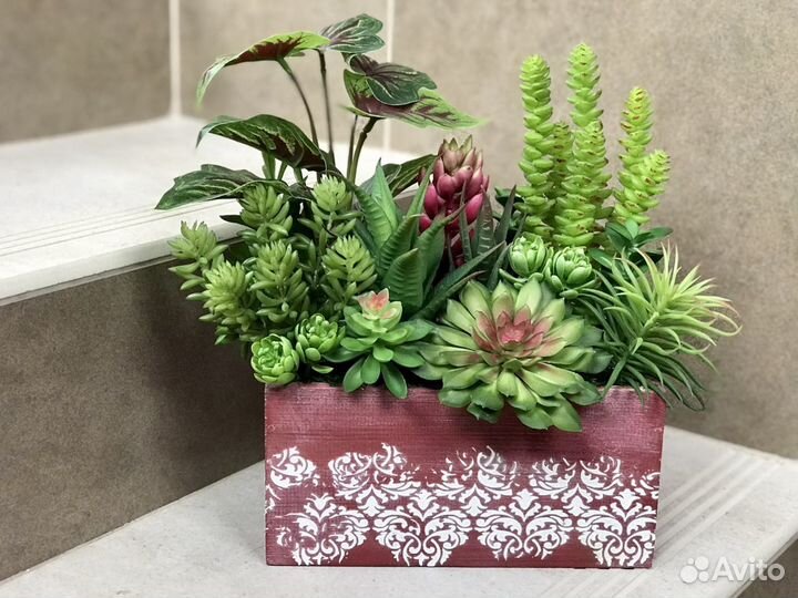 Суккуленты искусственные