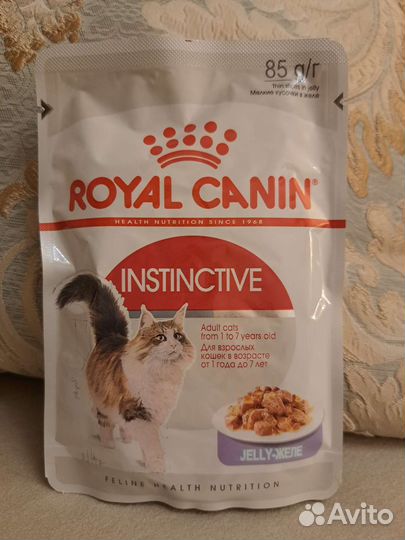 Влажный корм для кошек royal canin
