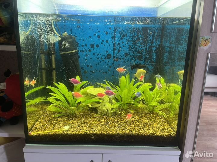 Продам 2 аквариума