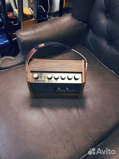 Комбоусилитель портативный для гитары и микрофона