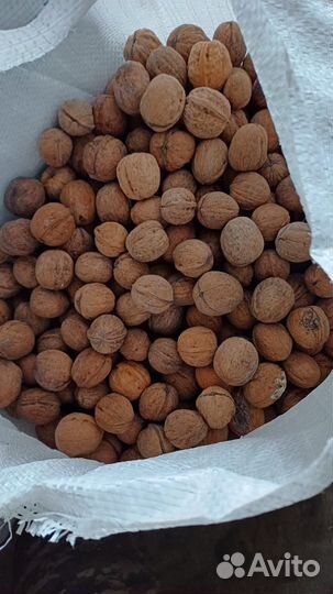 Грецкий орех