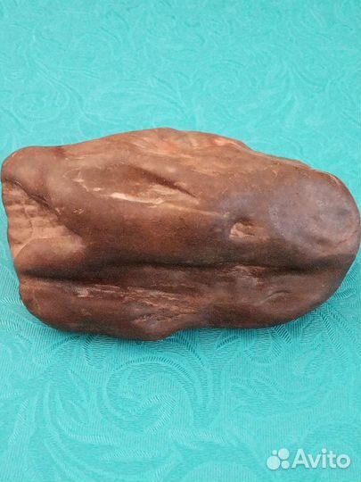 Доисторическая окаменелость