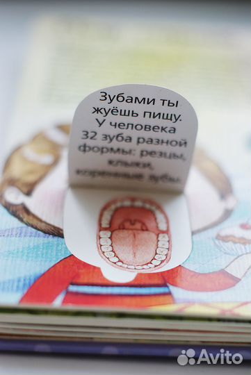 Человек детская энциклопедия с окошками