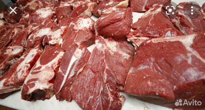 Мясо говядина