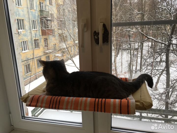 Гамак для кошки на окно