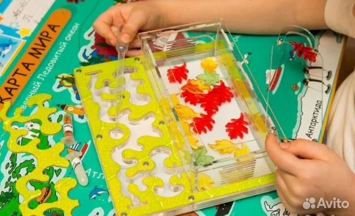 Муравьиная ферма с муравьями