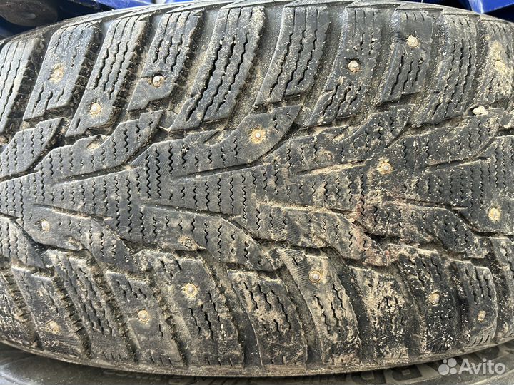 Nexen Winguard Spike WS62 205/60 R16