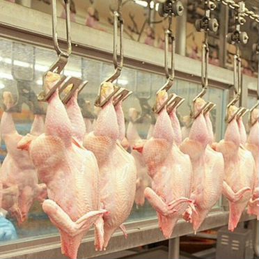 Обвальщик мяса птицы/вахта с проживанием