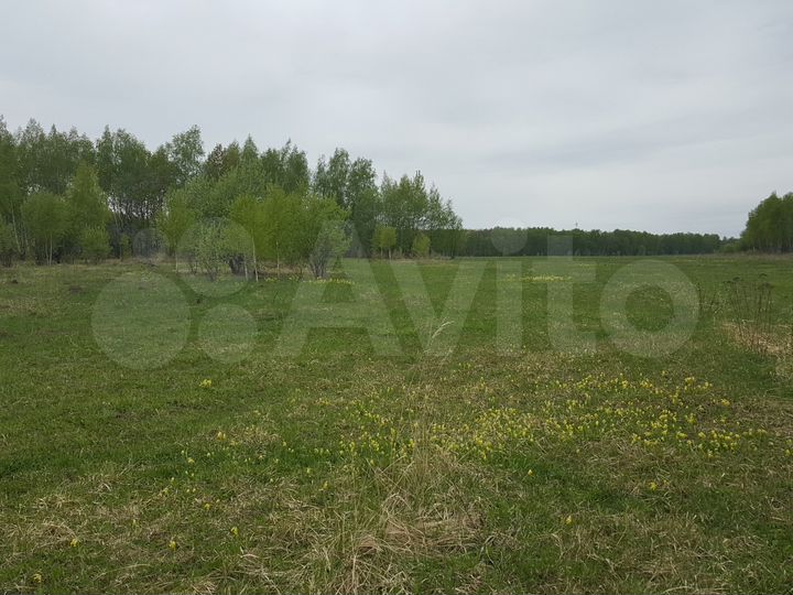 Участок 45 га (СНТ, ДНП)