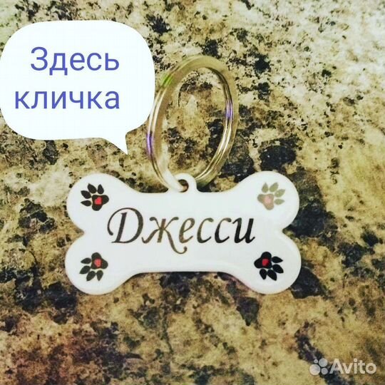 Адресник для собак