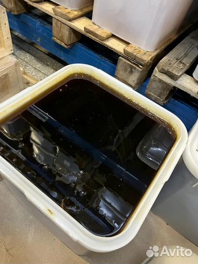 Свежий гречишный мёд оптом