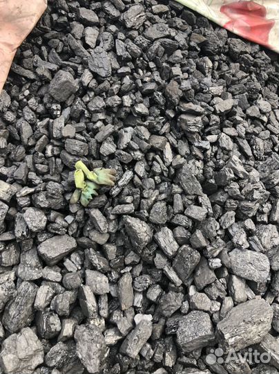 Уголь каменный марки Т И Д от грузовика до тонара
