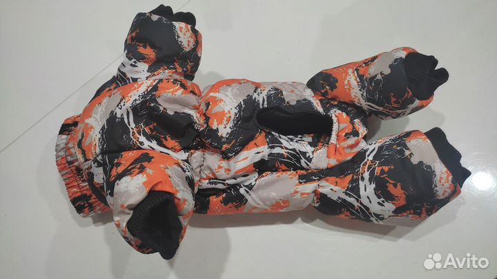 Д для собак