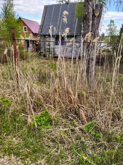 Участок 6 сот. (СНТ, ДНП)