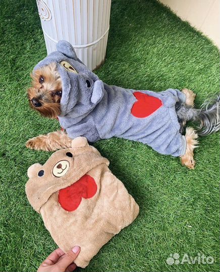 Костюмы для животных