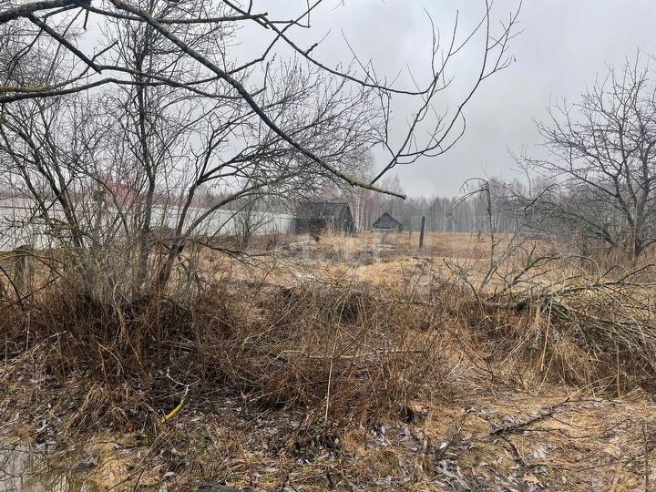 Участок 50,5 сот. (личное подсобное хозяйство (лпх))