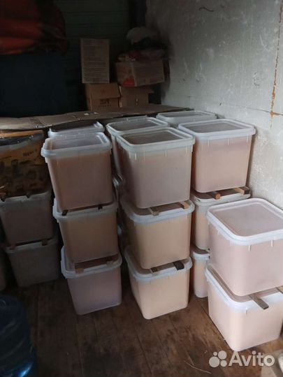 Мед оптом 2 тонны, продаю