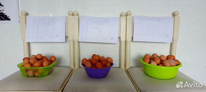 Домашние куриные яйца