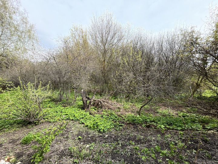 Участок 40 сот. (ИЖС)