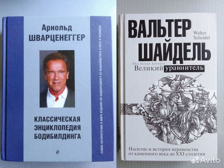 Великое разделение Стиглиц Джозеф Цена неравенства