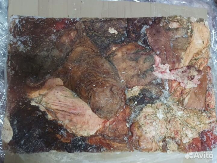 Мясо для собак. Сычуг говяжий