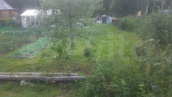 Участок 11 сот. (СНТ, ДНП)