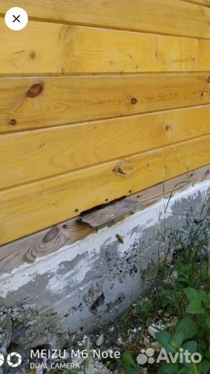 Красота и здоровье