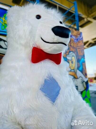 Белый мишка умка на праздник Аниматор