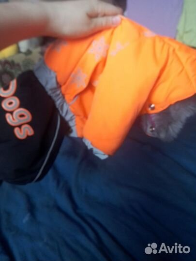 Дождевик для собак