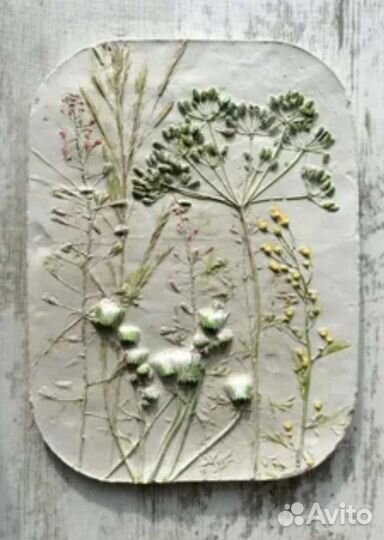 Ботанический Барельеф